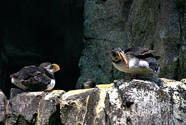 Ozeanarium I_t.jpg